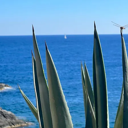 Punta Prima - Charming Spanish With South-facing Terrace By The Sea Διαμέρισμα Τορεβιέχα