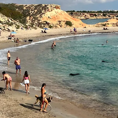 Punta Prima - Charming Spanish With South-facing Terrace By The Sea