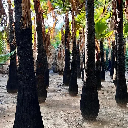 Punta Prima - Charming Spanish With South-facing Terrace By The Sea Διαμέρισμα Τορεβιέχα