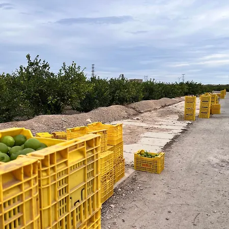 Punta Prima - Charming Spanish With South-facing Terrace By The Sea Διαμέρισμα Τορεβιέχα