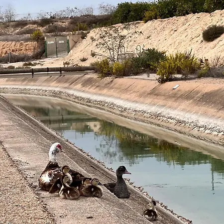 Punta Prima - Charming Spanish With South-facing Terrace By The Sea