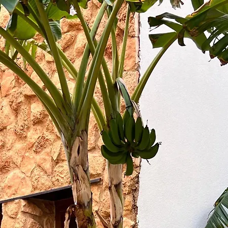 Appartamento Punta Prima - Charming Spanish With South-facing Terrace By The Sea *
