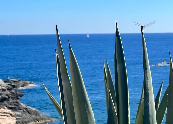 Punta Prima - Charming Spanish With South-facing Terrace By The Sea Apartment Torrevieja