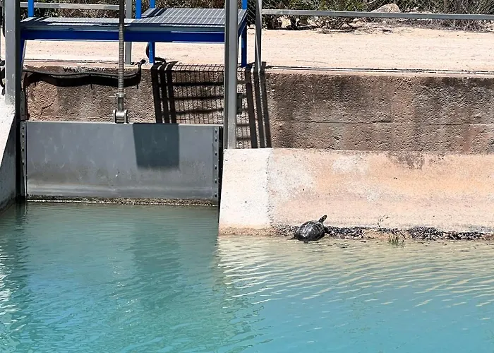 Punta Prima - Charming Spanish With South-facing Terrace By The Sea Apartment *