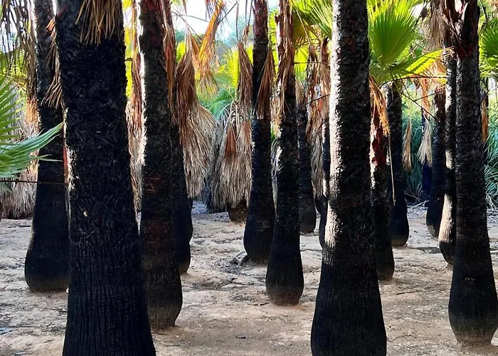 Punta Prima - Charming Spanish With South-facing Terrace By The Sea Apartment Torrevieja