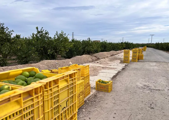 Punta Prima - Charming Spanish With South-facing Terrace By The Sea Apartment Torrevieja