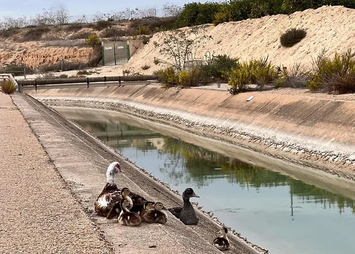 Punta Prima - Charming Spanish With South-facing Terrace By The Sea
